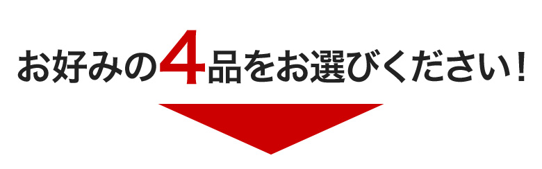 お好みの4品をお選びください!